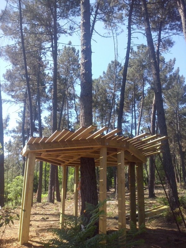 Ninhos - Laza (Espanha)